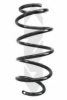 SPIDAN 86610 Coil Spring